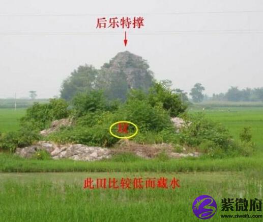 其中,山地风水是追求天人合一,天人感应,它讲究形势和理气的最佳配合