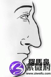 一,罗马鼻,嘴唇厚