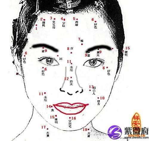 有福气的女人面相痣图解