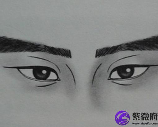 狮子眉的人面相