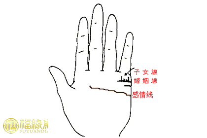 教你通过手相看生儿生女