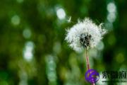 庚午日五行属什么 庚午日五行相生相克