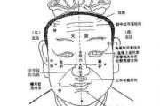 青龙怕臭怎么