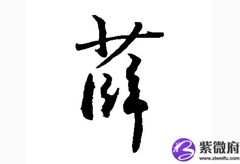 2020年"薛"姓 宝宝好名字