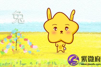 87年属兔和91年属羊的婚姻解说