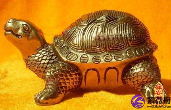 2014风水乌龟摆位