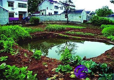 门口 池塘 风水