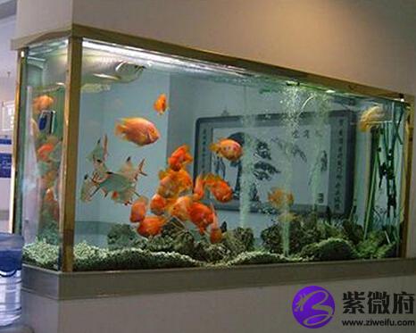 鱼缸风水摆放的位置