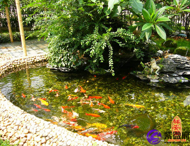 庭院水池的风水