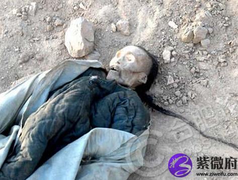 灵异事件95成都僵尸