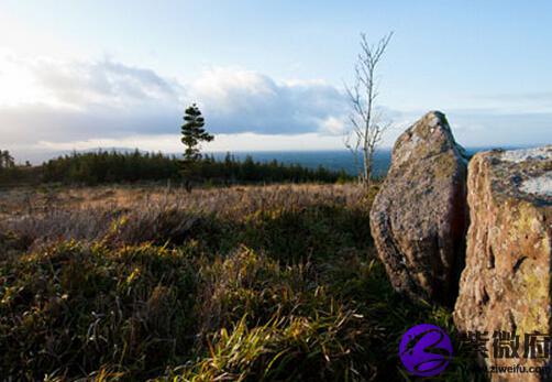 风水学揭秘寻龙诀口诀是什么(寻龙风水视频)