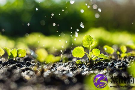 上海古先生微信说:有人说我命理五行缺木,我是