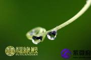 陈公笃：《公笃相法》上篇卷二（2）