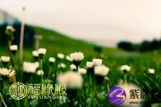 陈公笃：《公笃相法》下篇卷七（1）