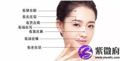 易出轨女人面相痣图解女人痣长在哪里容易出轨