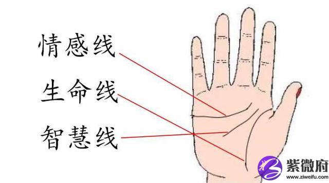 生命线有什么意义它的长短分别代表了什么