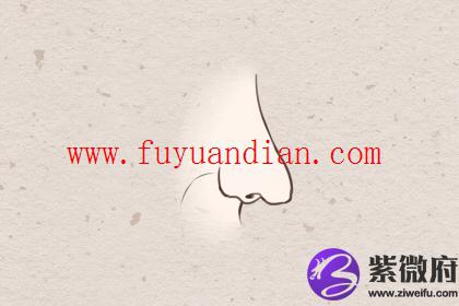 截筒鼻标准照片 截筒鼻是什么样子