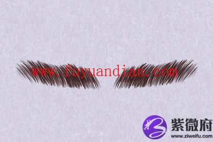 大短促眉好不好大短促眉图片