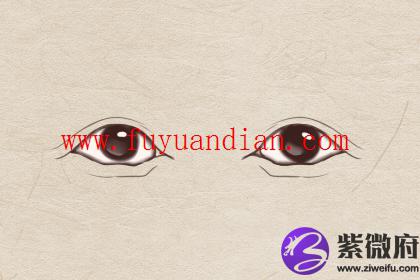 猪眼是什么样的猪眼图片