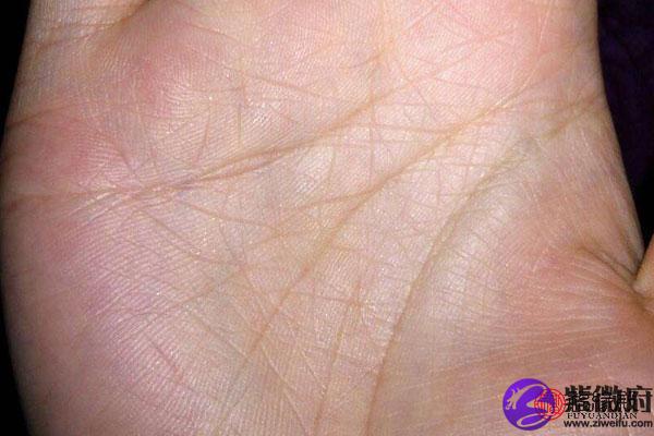 手上掌纹特别多特别乱的人命运怎么样