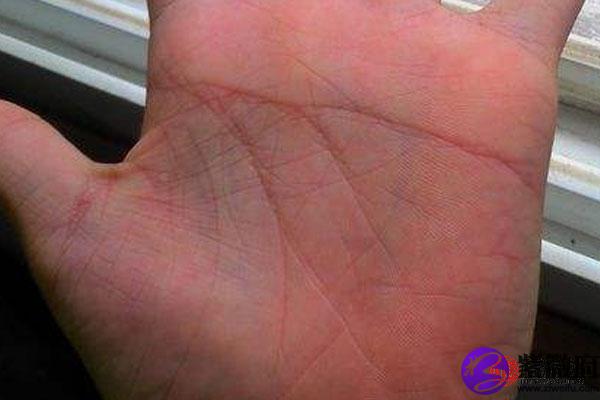 女人假断掌手相好不好 假断掌女性的命运