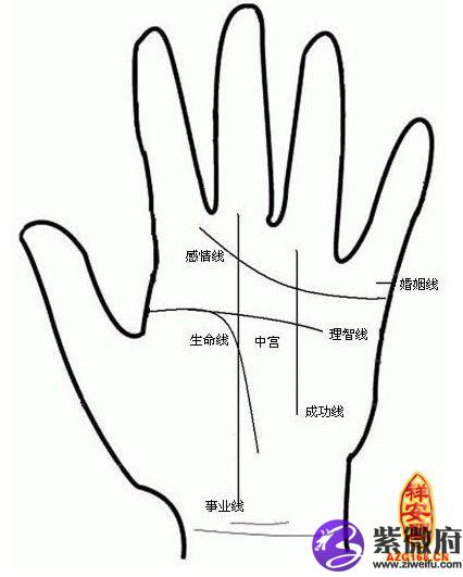 男人生命线(男人生命线分叉图解)