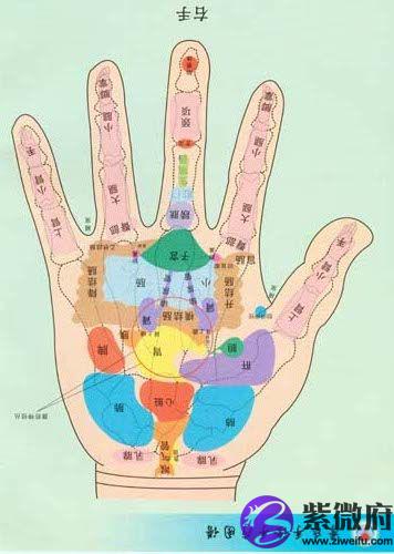 谈谈手掌上的健康信息★掌纹手相