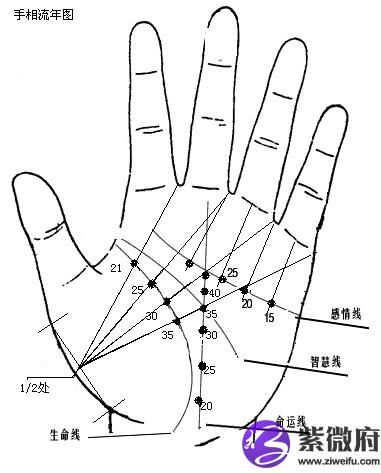 手相学图解-紫微府