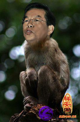 尖嘴猴腮的面相