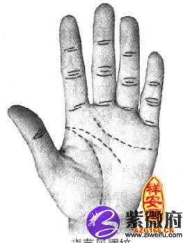 手相指节纹