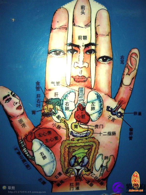 手相看健康图解大全1,心区位置在中指和无名指下方,反映心功能状况.