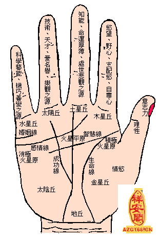 凯帝阿手相算命图解生命线