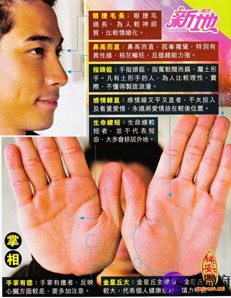 明星手相
