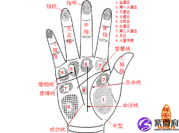 解说男感情线的特质