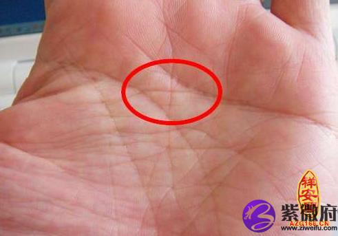 十字手相代表的命运-紫微府