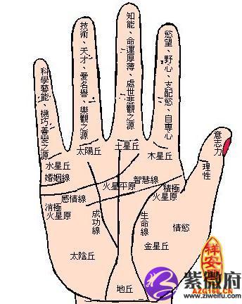 解读星纹手相