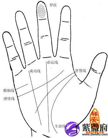 手纹看事业怎么样