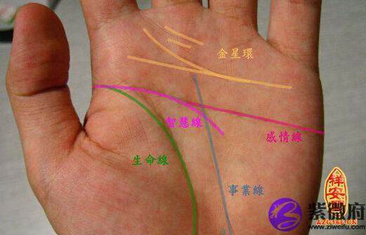 手相图解假断掌