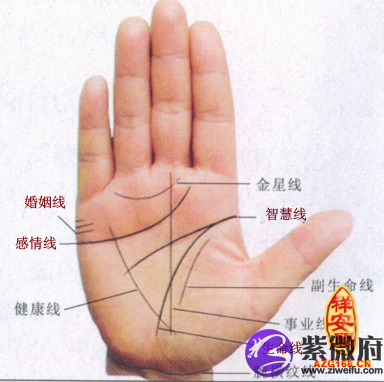看手相算命之婚姻线