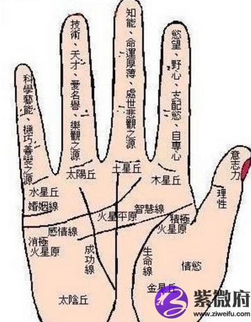 如何看男人手相算命