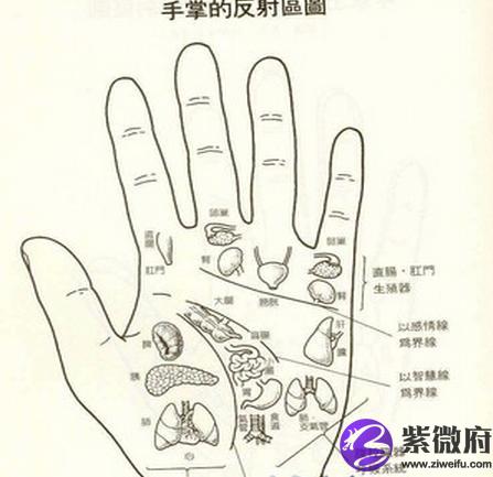 摊开我们手掌,会看到很多的横纹,而且每个人的手掌横纹分布都会不一样