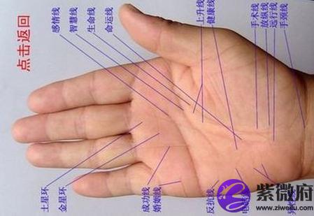 算命看手纹看手纹生命线算命生命线弯曲不圆润生命线弯曲不圆润代表一