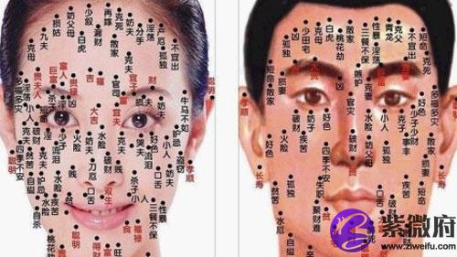 面相学怎样看下巴