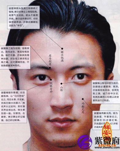 谢霆锋面相分析