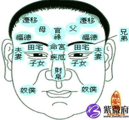 面相大师