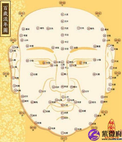 面相学鼻子大