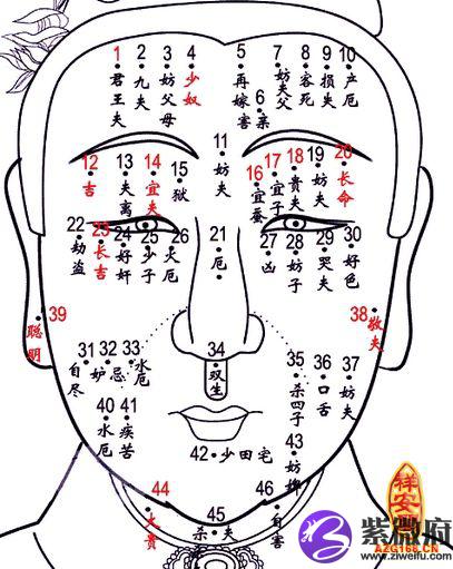 古代痣相