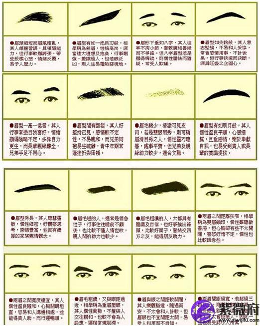 眉毛形状 面相