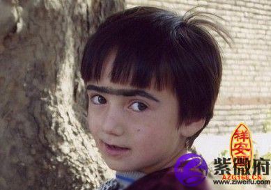 眉毛连在一起代表什么