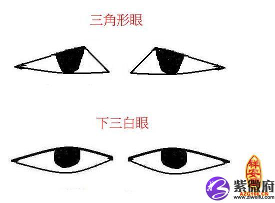 三角眼面相怎么看